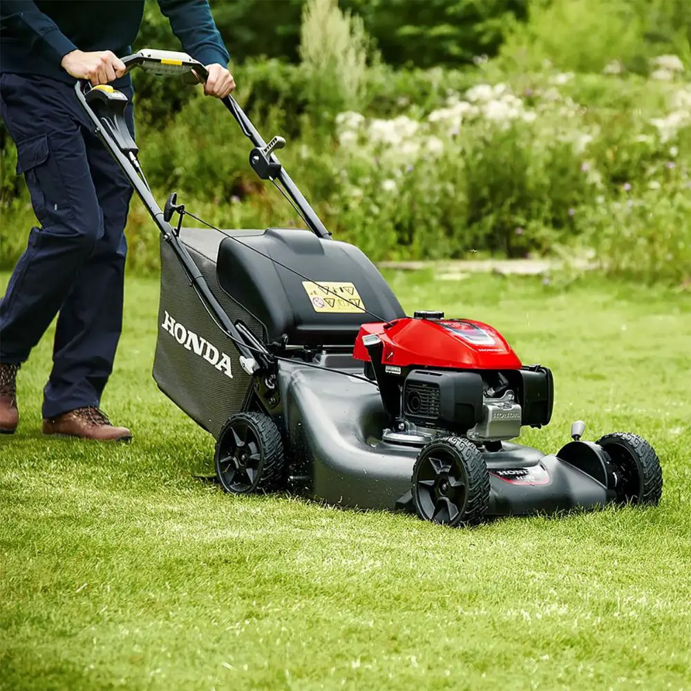 Gardening & Maintenance